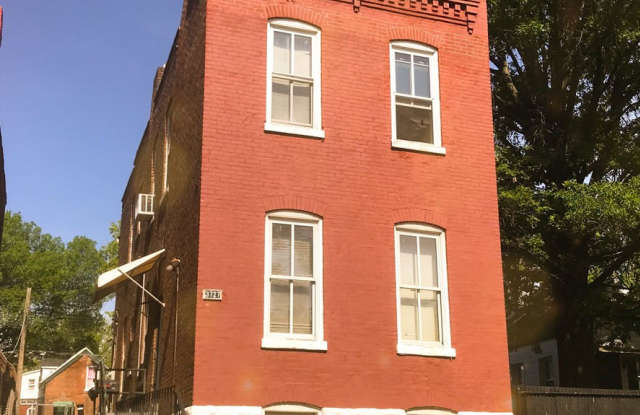 Affordable, efficienct, 1 bedroom, 1 bath - 3727 Wisconsin Avenue, St. Louis, MO 63118