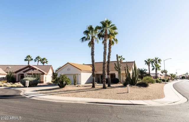 22807 N LAS VEGAS Drive