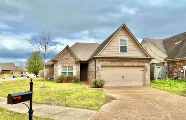 10815 Colton Drive - 10815 Colton Drive, Olive Branch, MS 38654