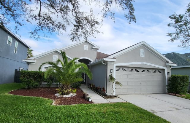 11327 Cypress Reserve Dr - 11327 Cypress Reserve Drive, Westchase, FL 33626