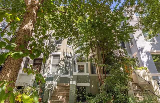 Charming 3BR Duplex in Dupont Circle