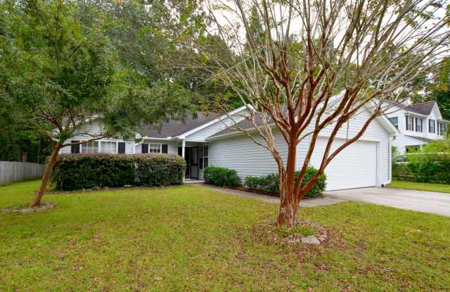 3262 Seaborn Drive - 3262 Seaborn Drive, Mount Pleasant, SC 29466