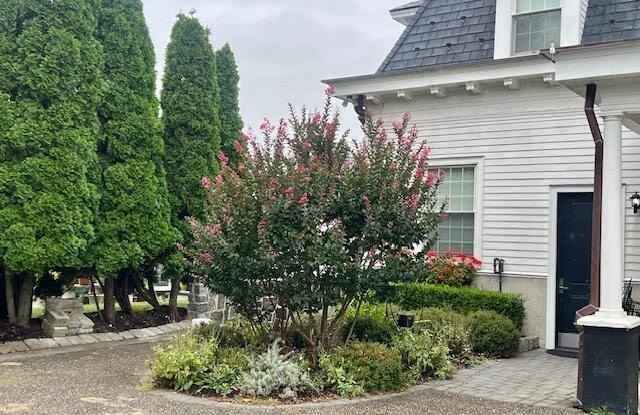 892 Elberon Avenue unit: Studio