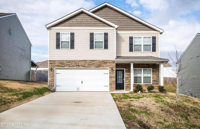 Photo of 173 Ashe Ave