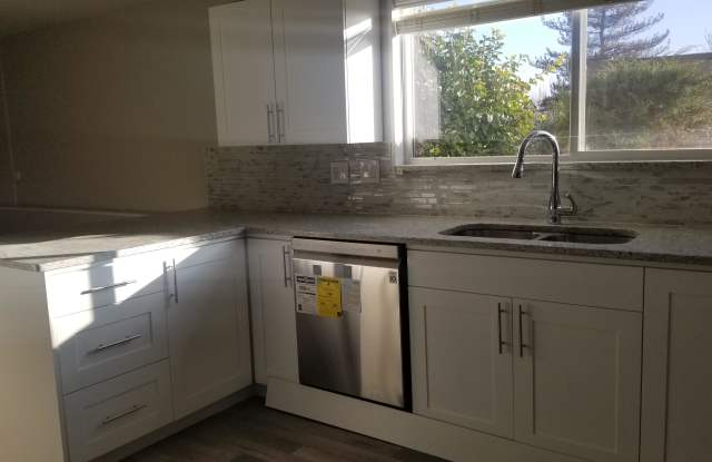 10282 Golden Willow Drive - Part Of The Basement