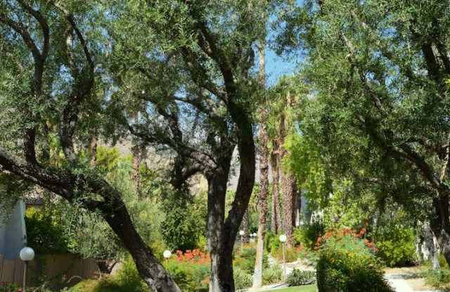 Casa de Oro in Little Tuscany, SEASONAL/MONTHLY furnished.