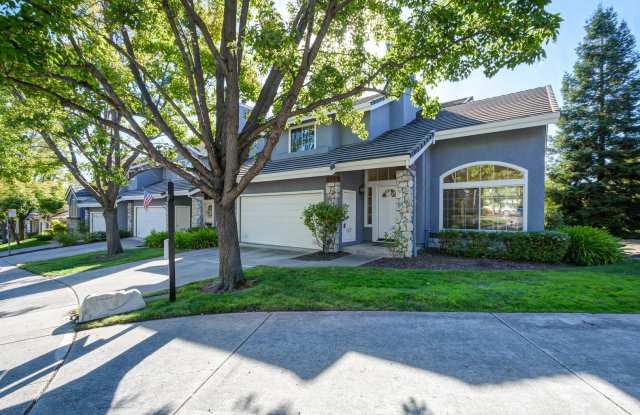 Stunning and Spacious Home in Amazing Condition near Blackhawk Plaza - 210 Promenade Lane, Danville, CA 94506