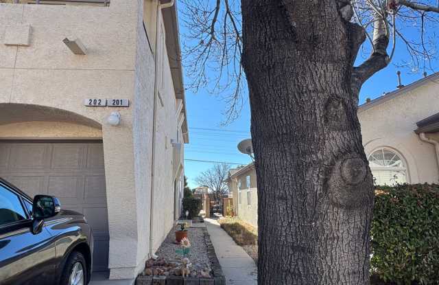 San Antonio Condos Gem!