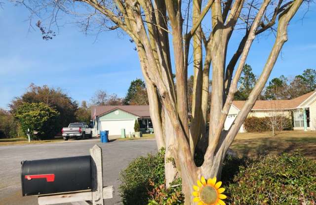 Adorable back yard in Gulf Shores - 3/2
