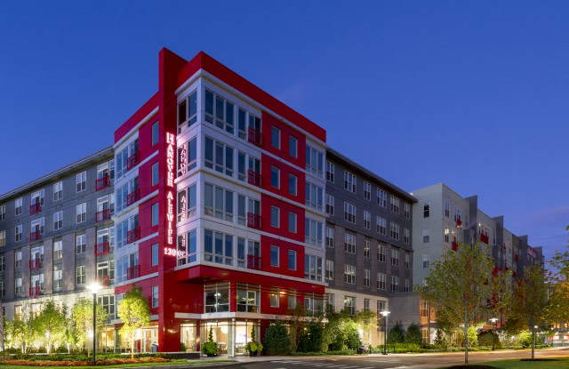 Photo of Hanover Alewife