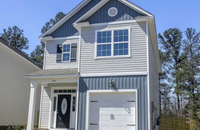 653 Dawsons Park Way - 653 Dawsons Park Way, Lexington County, SC 29072