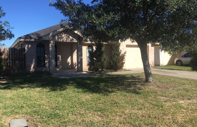 1450 Turkey Trot Ave. - 1450 Turkey Trot Street, Mercedes, TX 78570