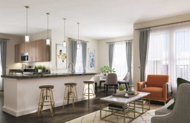 20838 Blanco Rd, #1294