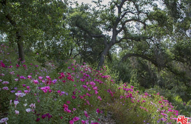 1300 GREENLEAF CANYON RD