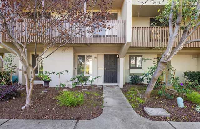 3031 Flora Vista - 4 bedroom | 2.5 bath | Townhouse