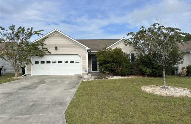 Photo of 247 Red Carnation Drive lot: 86