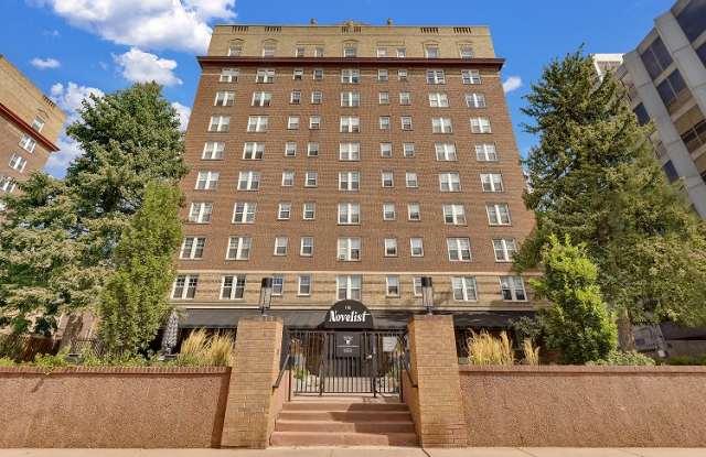 Photo of The Novelist