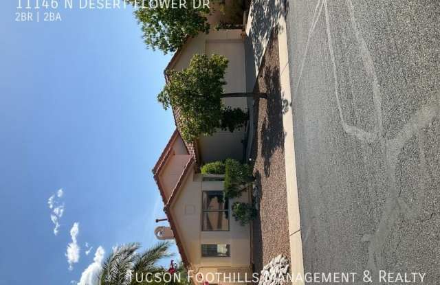 11146 N Desert Flower Dr