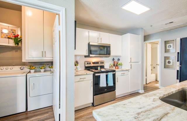 Derby at Steeplechase