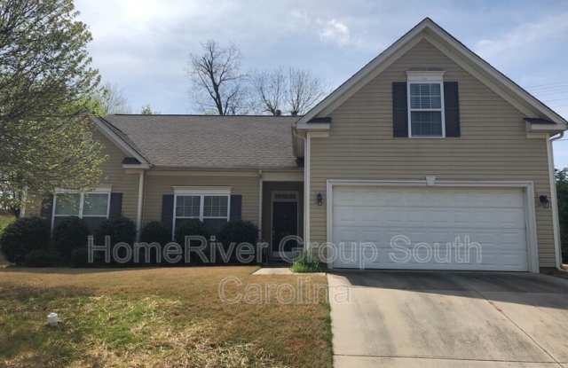 10558 Tintinhull Dr - 10558 Tintinhull Drive, Lancaster County, SC 29707