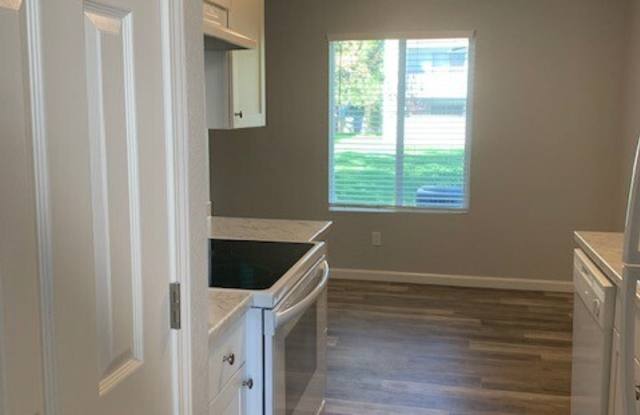 1529 Delucchi Lane