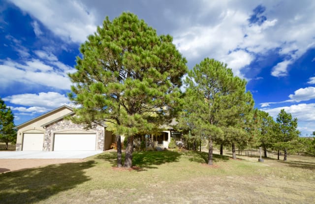 14865 East Coachman Drive - 14865 East Coachman Drive, Black Forest, CO 80908