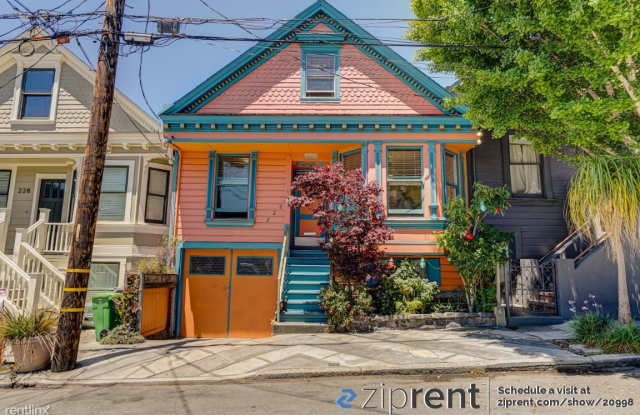 226 Elsie Street, San Francisco, CA 94110