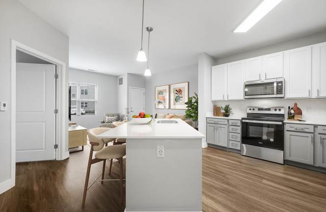 Photo of Lux at Stoughton