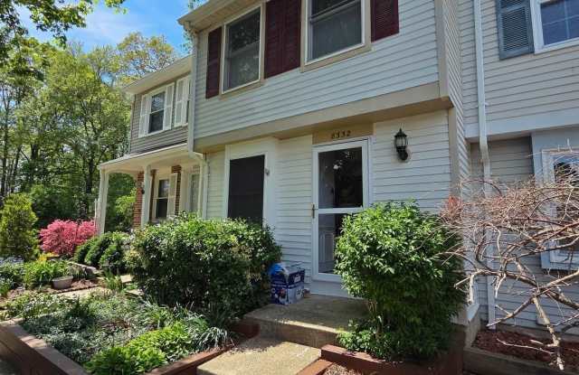 8332 ROCKY FORGE Court