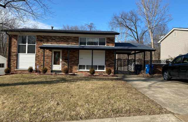 Charming 3 Bedroom with Great Yard