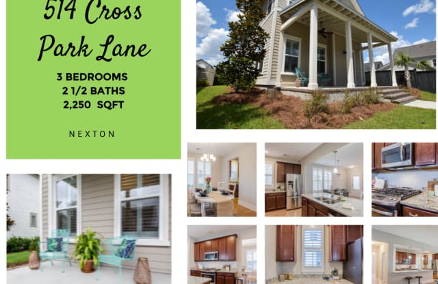 514 Cross Park Lane - 514 Cross Park Street, Berkeley County, SC 29486