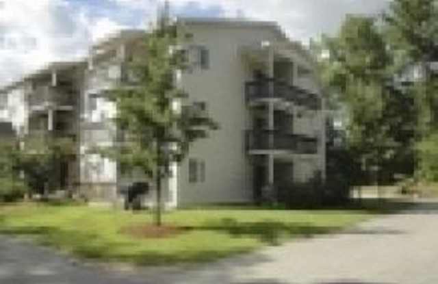99 Mammoth Road