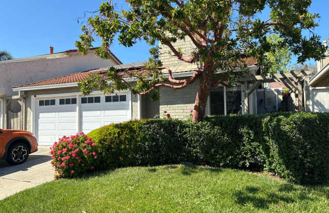 San Jose- beautiful 2/2 home with upgraded lvp flooring and attached garage photos photos