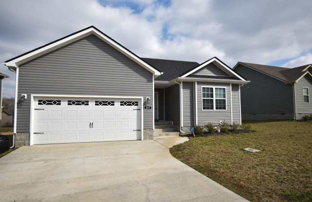 3 Bedroom Pet Friendly Home For Rent in Chalet Hills!