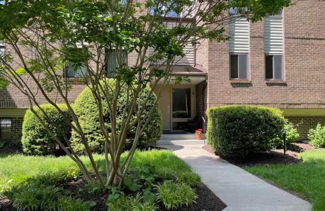 6 LONGSTREAM CT #T-2