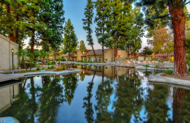 Photo of The Streams