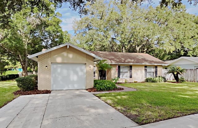 14002 Capitol Drive - 14002 Capitol Drive, Lake Magdalene, FL 33613