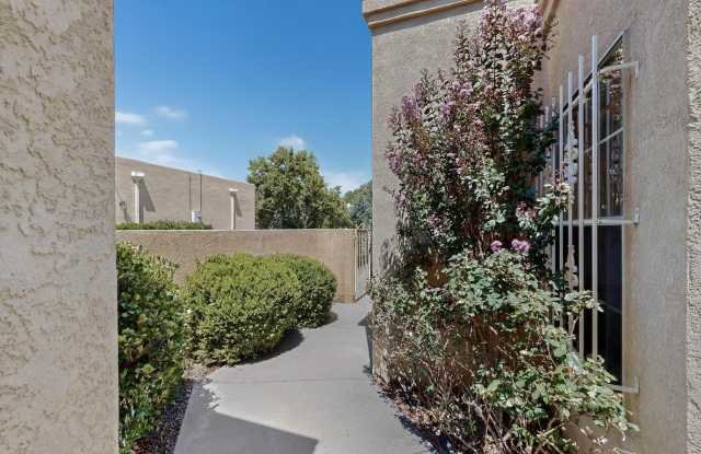 9824 N Lagrima De Oro NE