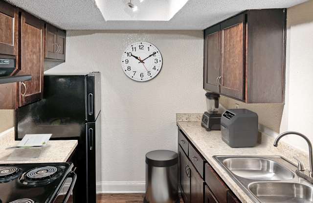 The Lory of Savannah