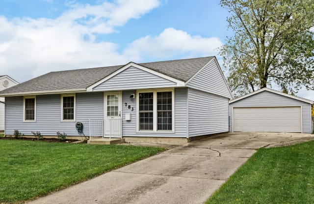 783 Farragut Avenue - 783 Farragut Avenue, Romeoville, IL 60446