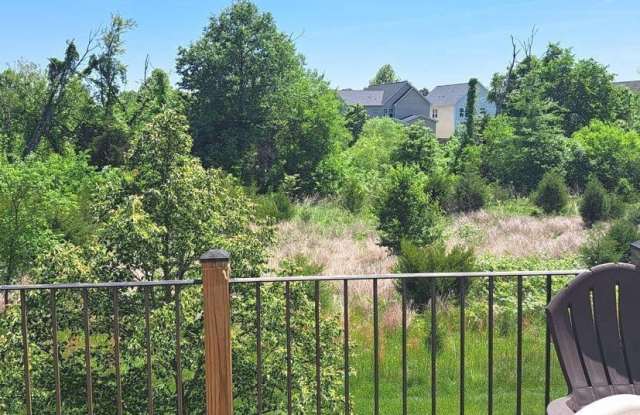 23380 EVENING PRIMROSE SQUARE