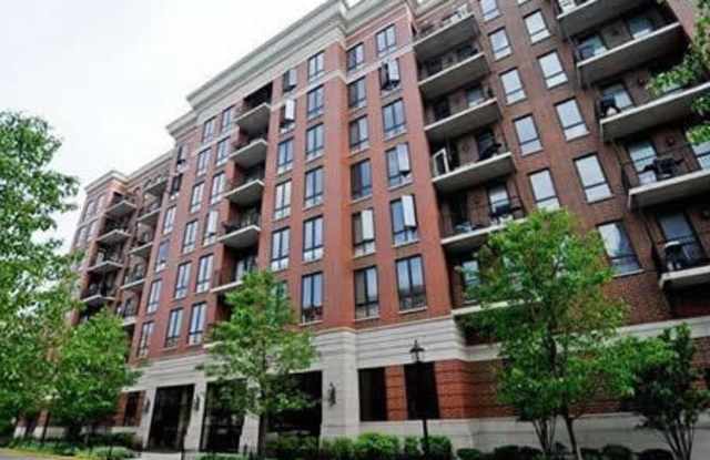 343 W Old Town Ct - 343 West Old Town Court, Chicago, IL 60610