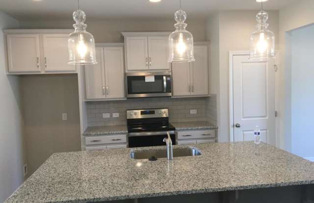 12507 Bryton Ridge Parkway - 1
