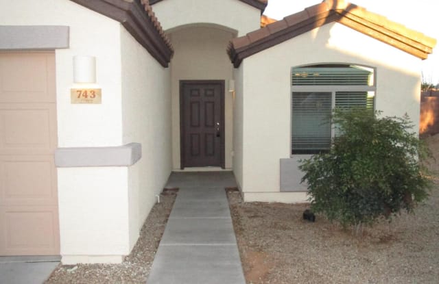 743 S Willis Ray Avenue - 743 S Willis Ray Avenue, Corona de Tucson, AZ 85641