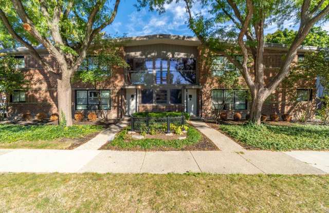 ONE11 COLLECTION - ROYAL OAK