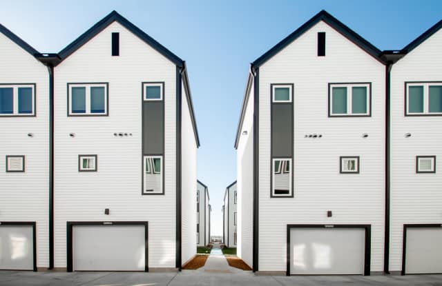 Juniper Rows at Deer Creek