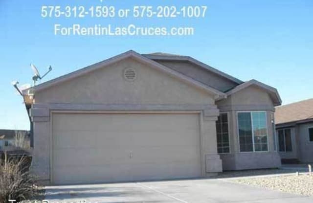 940 Gilmer Way - 940 Gilmer Way, Las Cruces, NM 88005