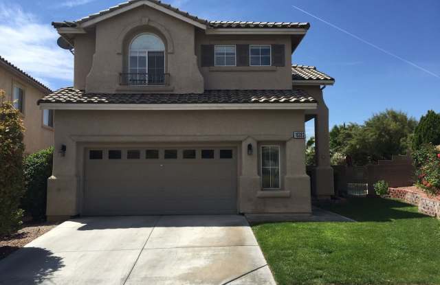 10393 Trailing Dalea Ave