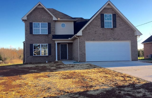 1310 Auldridge DR - 1310 Auldridge Drive, Rutherford County, TN 37037