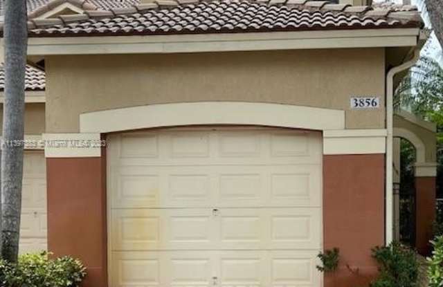 3856 Tree Top Dr